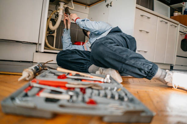 Best Affordable Plumber Near Me  in Frazee, MN